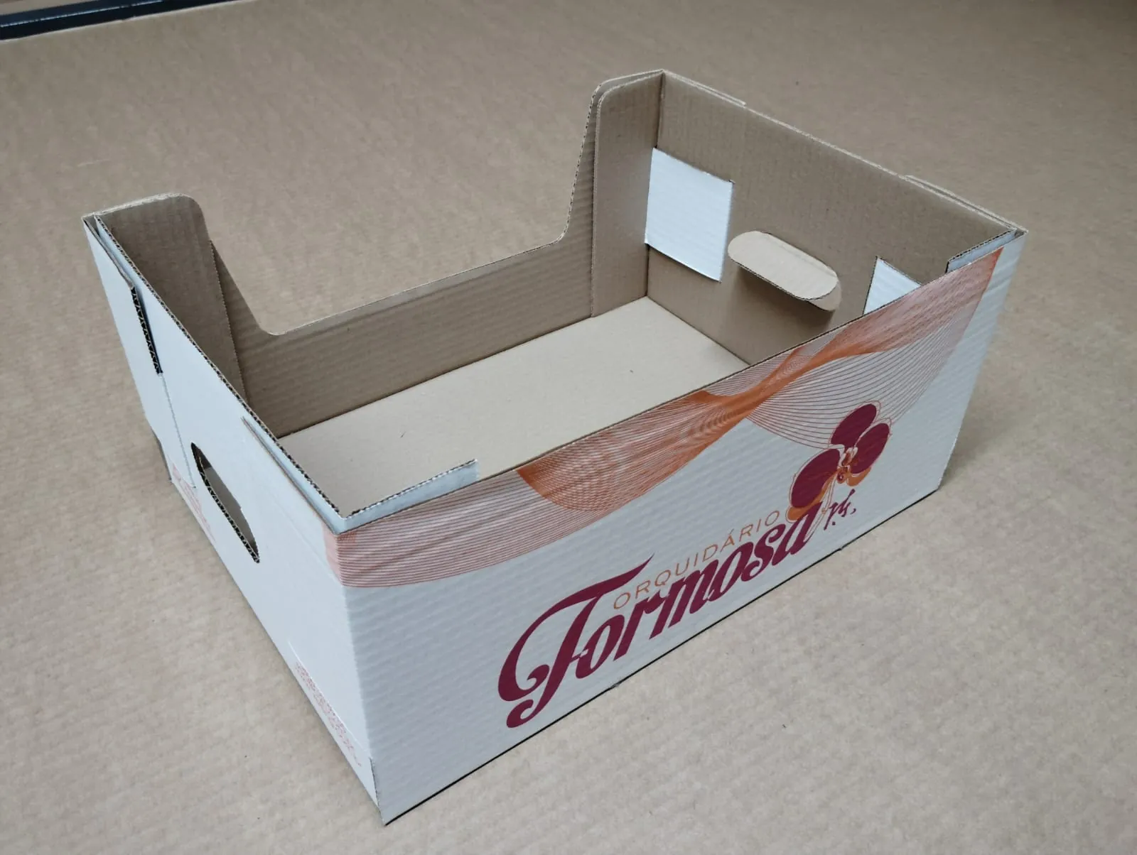 Bandeja Para Transporte