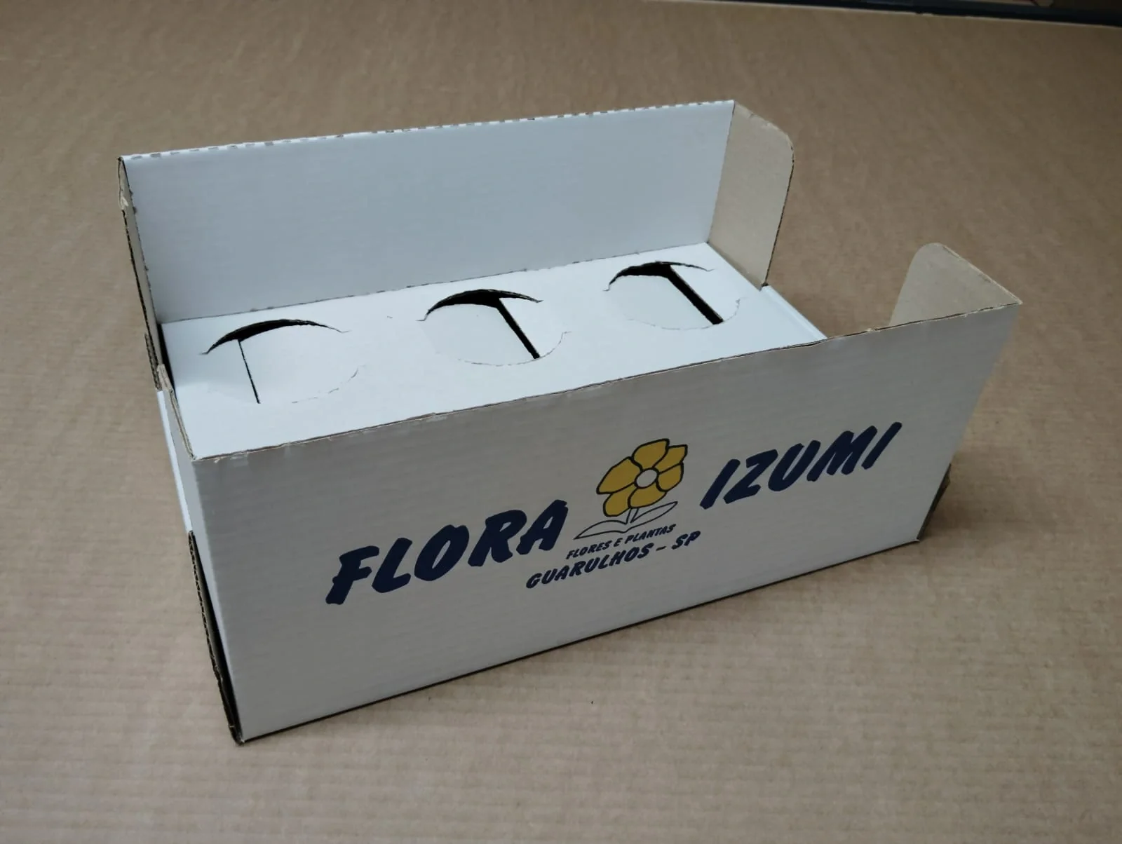 Caixa De Flores